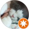 Meow、的頭像