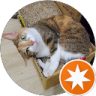 Sean Hsu的頭像